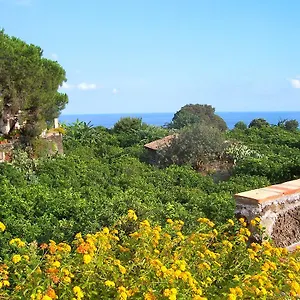  Vakantieboerderij Il Limoneto Italië